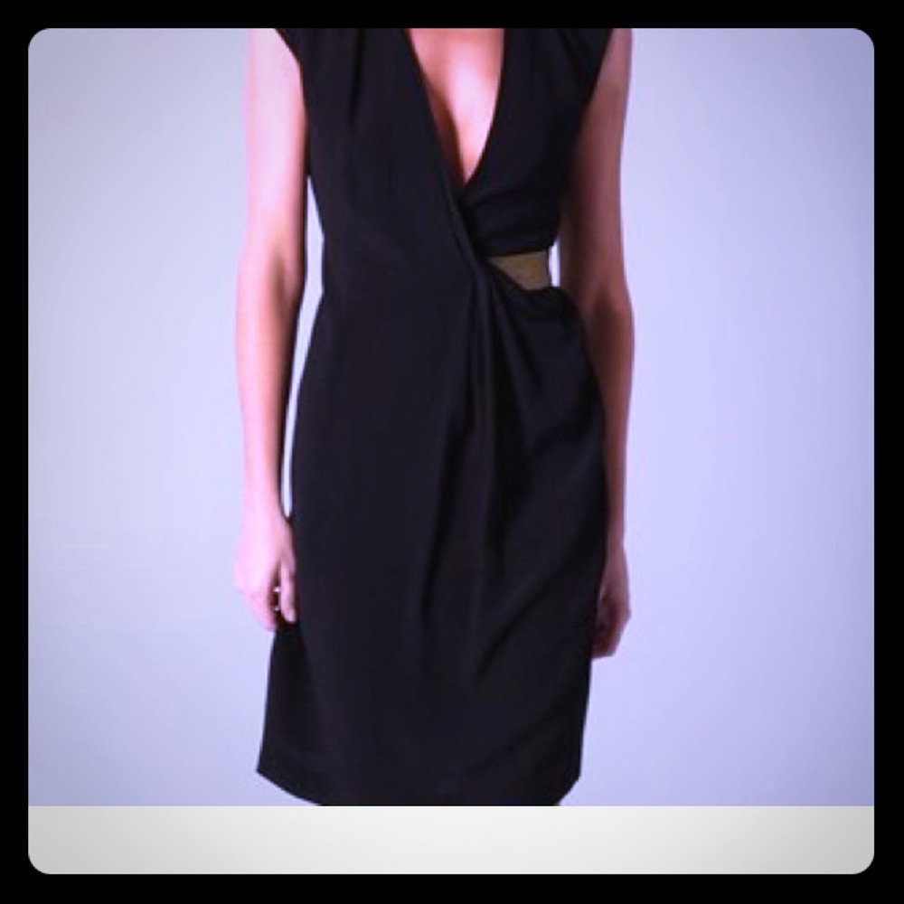 NWOT Diane Van Furstenberg Evangeline Dress 4